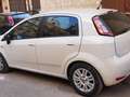 Fiat Punto 5p 1.3 mjt 16v stret Autocarro Bianco - thumbnail 2