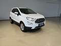Ford EcoSport 1,0 EcoBoost Titanium Weiß - thumbnail 2