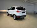 Ford EcoSport 1,0 EcoBoost Titanium Weiß - thumbnail 4