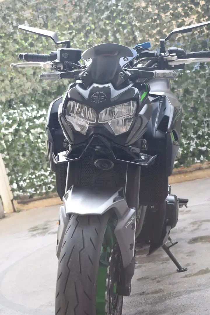 Kawasaki Z 900 Z900 2024 (A2) Verde - 2