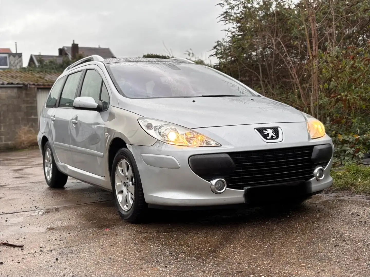 Peugeot 307 1.6i 16v XS - 2