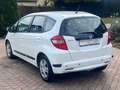 Honda Jazz 1.2 Trend*KLIMA*PDC* 53.858 KM Bianco - thumbnail 2