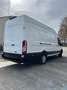 Ford Transit 2.0 TDCi L4H3 RWD Trend*First Owner*FULL OPTION Bianco - thumbnail 2