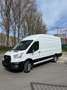 Ford Transit 2.0 TDCi L4H3 RWD Trend*First Owner*FULL OPTION Bianco - thumbnail 5