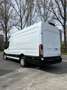 Ford Transit 2.0 TDCi L4H3 RWD Trend*First Owner*FULL OPTION White - thumbnail 4