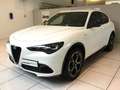 Alfa Romeo Stelvio 2.2 Turbodiesel 210 CV AT8 Q4 Veloce MY24 Bianco - thumbnail 3