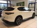 Alfa Romeo Stelvio 2.2 Turbodiesel 210 CV AT8 Q4 Veloce MY24 Bianco - thumbnail 7