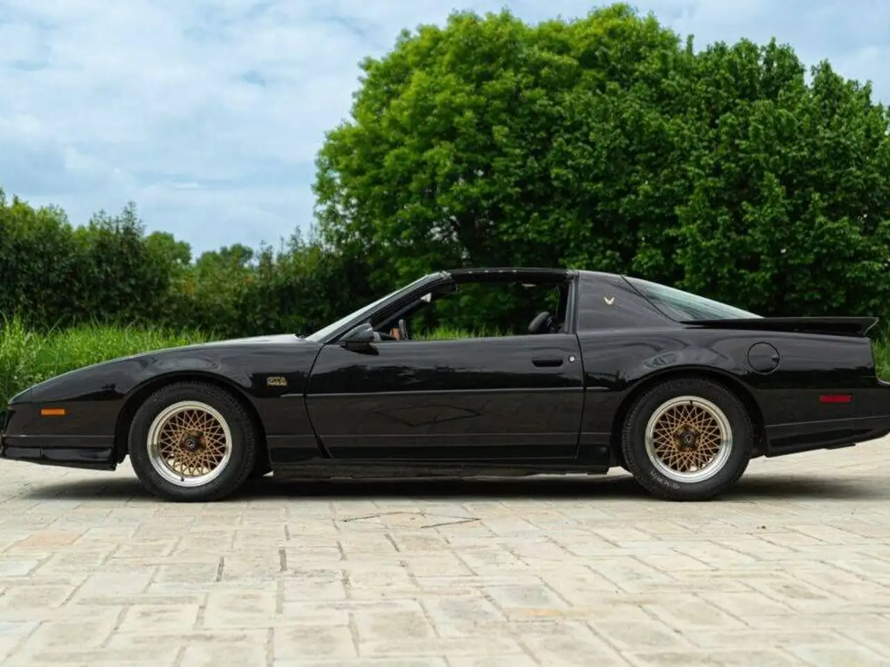 Pontiac Firebird 1989 PONTIAC FIREBIRD TRANS-AM, foto 3