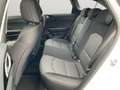 Kia Ceed SW / cee'd SW Ceed SW 1.6D DCT7 Spirit Navi/JBL-Sound/Rückfahr Wit - thumbnail 14