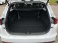 Kia Ceed SW / cee'd SW Ceed SW 1.6D DCT7 Spirit Navi/JBL-Sound/Rückfahr Wit - thumbnail 17