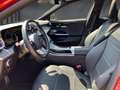 Mercedes-Benz C 300 de 4M T AMG Panor. AHK Distronic Digit.L. Rosso - thumbnail 8