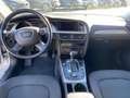 Audi A4 A4 Avant 2.0 tdi quattro 177cv s-tronic Szary - thumbnail 5