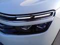 Citroen C5 Aircross PureTech 130 Business Shine Weiß - thumbnail 8