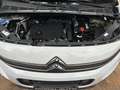 Citroen Berlingo BlueHDi S&S Talla M Feel 100 Blanco - thumbnail 27