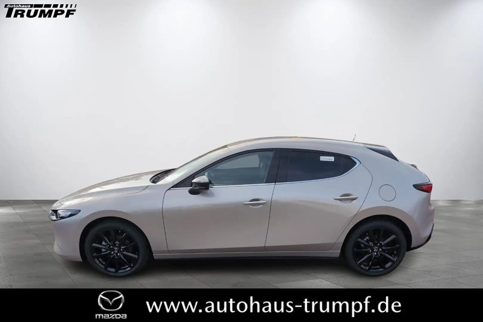 Mazda 3 2.5L e-SKYACTIV G 140 PS FWD Homura Grau - 1