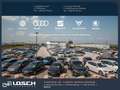 Audi RS4 Avant+360+Massage+Matrix Gris - thumbnail 18