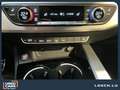 Audi RS4 Avant+360+Massage+Matrix Gris - thumbnail 15