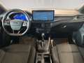 Ford Focus Turnier 1,0 EcoBoost ST-Line X ab ca. 171€ monatl Schwarz - thumbnail 18