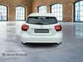 Mercedes-Benz A 180 AUT Kam. KlimaA LM PDC ParkAss SHZ Bianco - thumbnail 6