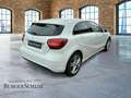 Mercedes-Benz A 180 AUT Kam. KlimaA LM PDC ParkAss SHZ Bianco - thumbnail 5