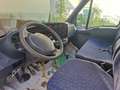 Iveco Daily 29L13 V Weiß - thumbnail 5
