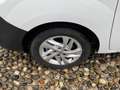 Renault Kangoo 1.5 dCi 90CV F.AP. Stop & Start Express Energy Bianco - thumbnail 5