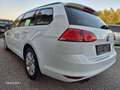 Volkswagen Golf Variant Rabbit BMT 1,6 TDI 4Motion Weiß - thumbnail 4