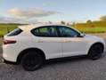 Alfa Romeo Stelvio Stelvio 2.0 Turbo 16V AT8-Q4 B-Tech Wit - thumbnail 2