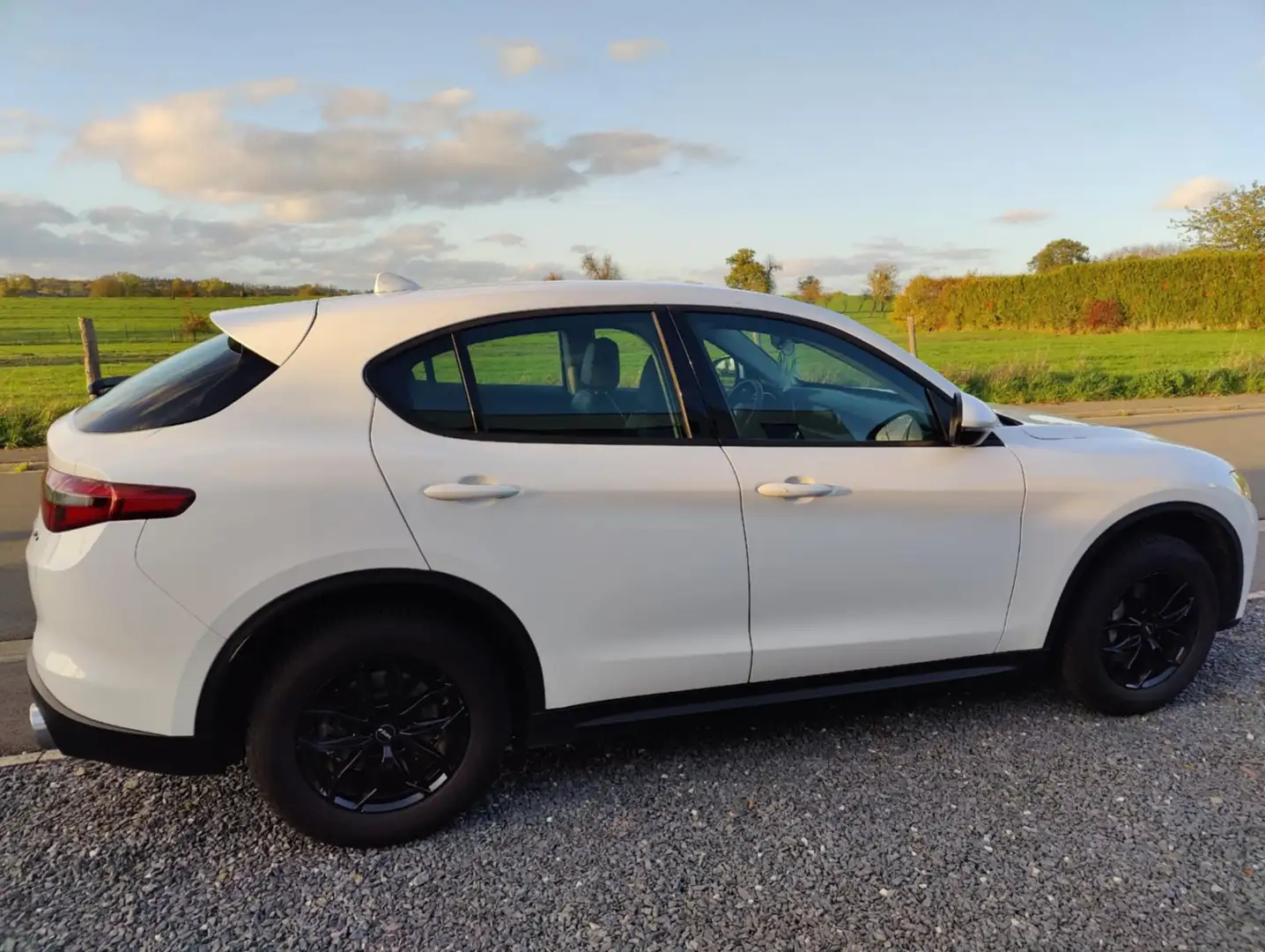 Alfa Romeo Stelvio Stelvio 2.0 Turbo 16V AT8-Q4 B-Tech Wit - 2