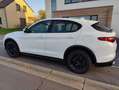 Alfa Romeo Stelvio Stelvio 2.0 Turbo 16V AT8-Q4 B-Tech Wit - thumbnail 1