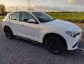 Alfa Romeo Stelvio Stelvio 2.0 Turbo 16V AT8-Q4 B-Tech Wit - thumbnail 3