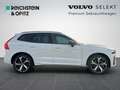 Volvo XC60 B4 R Design Geartronic/Klima/360°RFK/Navi Weiß - thumbnail 4