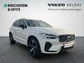 Volvo XC60 B4 R Design Geartronic/Klima/360°RFK/Navi Weiß - thumbnail 3