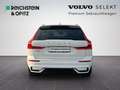 Volvo XC60 B4 R Design Geartronic/Klima/360°RFK/Navi Weiß - thumbnail 6