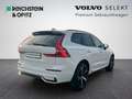 Volvo XC60 B4 R Design Geartronic/Klima/360°RFK/Navi Weiß - thumbnail 5