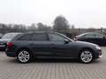 Audi A4 allroad 40 TDI quattro - ACC   PANO   KAMERA Gris - thumbnail 6