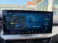 Ford Focus Titanium Turnier, ACC, Toter-Winkel, Elektrische H Gris - thumbnail 9
