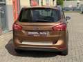 Ford B-Max 1.0 EcoBoost Titanium First Edition, Panoramadak - thumbnail 6