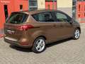 Ford B-Max 1.0 EcoBoost Titanium First Edition, Panoramadak - thumbnail 2