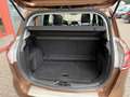 Ford B-Max 1.0 EcoBoost Titanium First Edition, Panoramadak - thumbnail 18