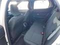 Dacia Duster III TCe 130 Extreme 4x4 *Winter/Tech Pak* Beige - thumbnail 8