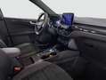 Ford Kuga 2.5 Duratec PHEV ST-LINE AHK Panorama Blanc - thumbnail 10