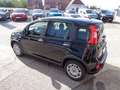 Fiat Panda 4x2 FireFly Hybrid 70 Schwarz - thumbnail 3