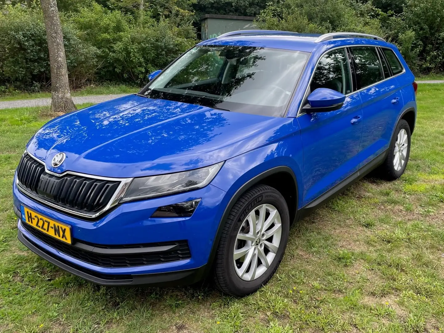 Skoda Kodiaq Kodiaq 1.5 TSI Business Edition Pl. Blauw - 1