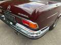 Mercedes-Benz 280 Werks Flachkühler Rot - thumbnail 9