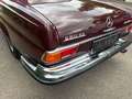 Mercedes-Benz 280 Werks Flachkühler Rot - thumbnail 8