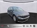 Skoda Sonstige Enyaq iV 50 AZN-Haus-FÖERDERUNG* Batt-ZERTIFIKAT Grau - thumbnail 1