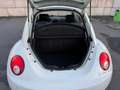 Volkswagen New Beetle New Beetle Diesel 1.9 TDI DPF Blanc - thumbnail 10