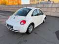 Volkswagen New Beetle New Beetle Diesel 1.9 TDI DPF Blanc - thumbnail 6