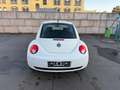 Volkswagen New Beetle New Beetle Diesel 1.9 TDI DPF Blanc - thumbnail 5